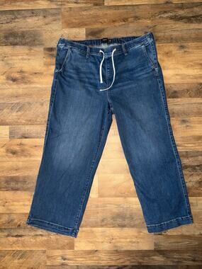 Torrid women’s weekend super soft wide leg blue jeans